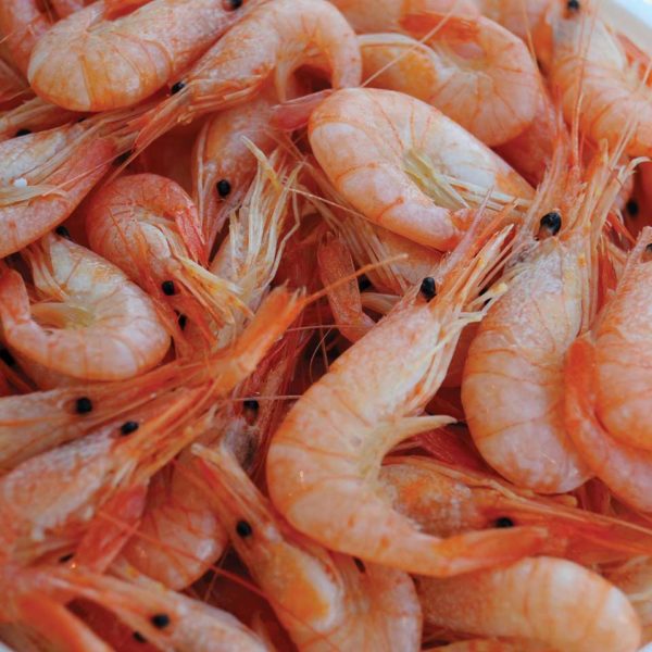 Shrimps-&-Prawns